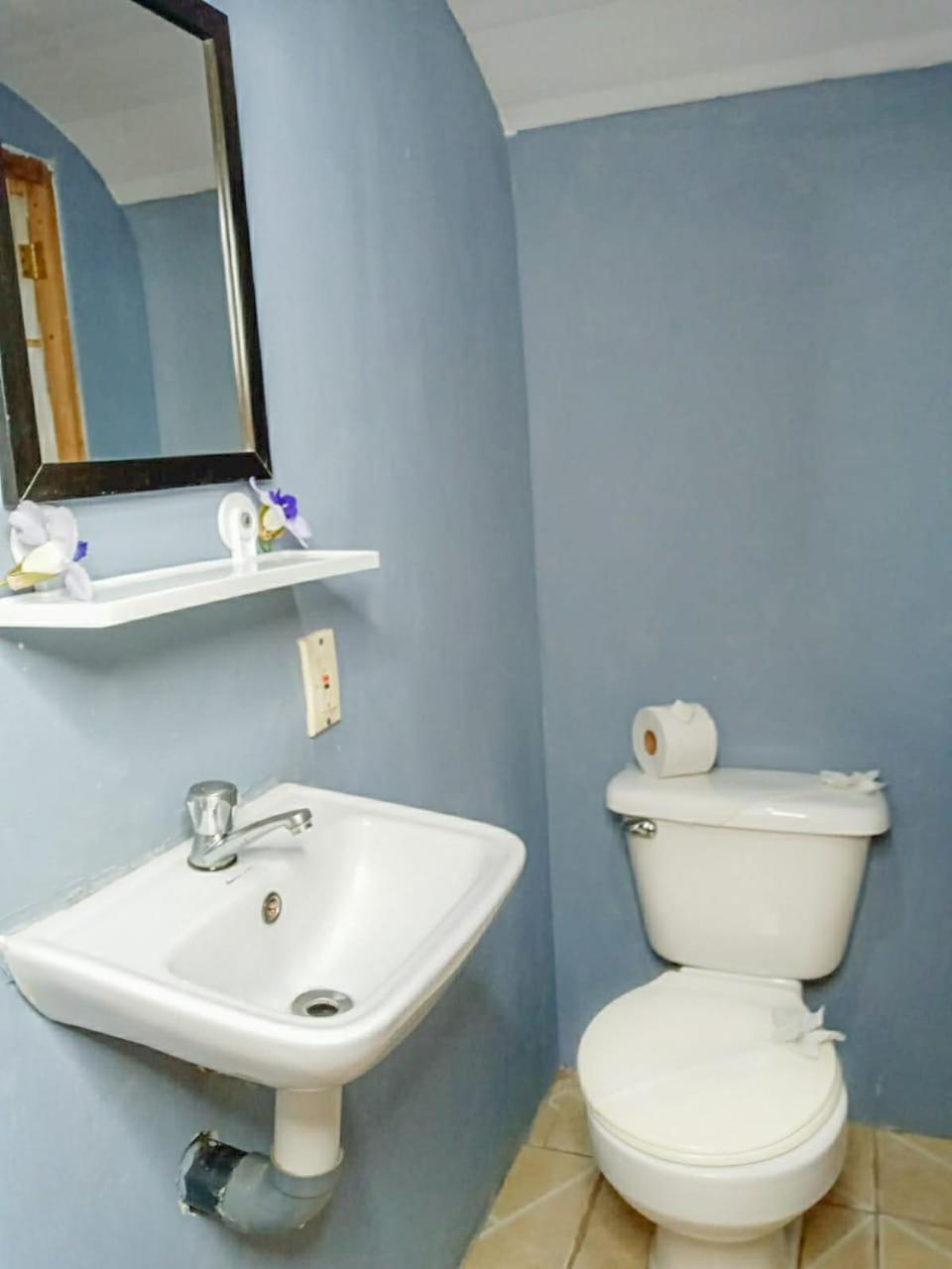 Hospedaje Combi Dream Bird Apartment Playas del Coco Luaran gambar