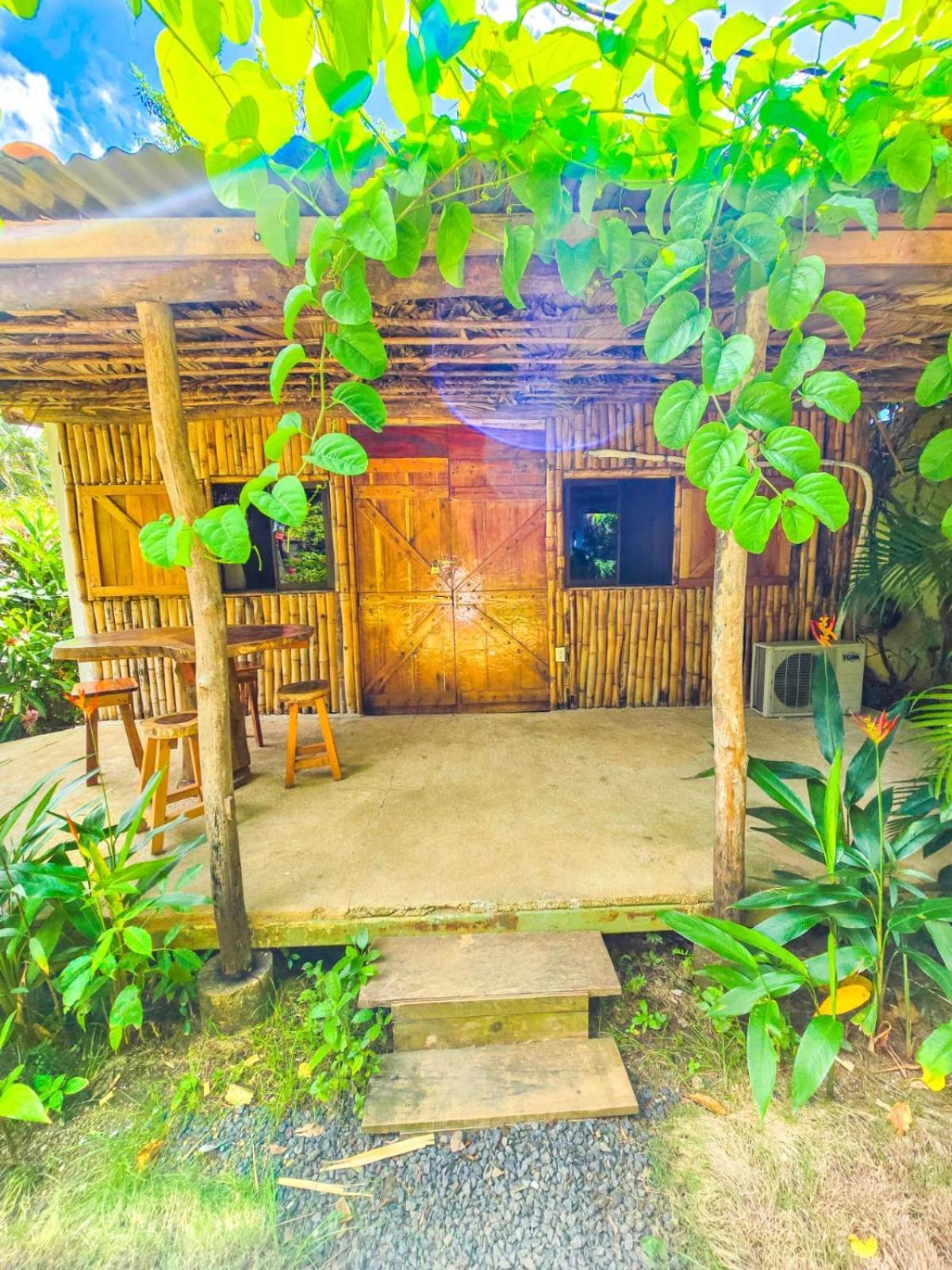 Hospedaje Combi Dream Bird Apartment Playas del Coco Luaran gambar